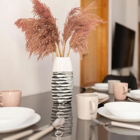 Raxi Apartment *